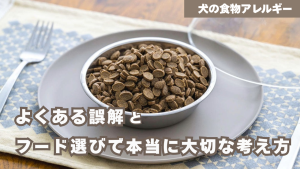 「よくある誤解」 フード選びで本当に大切な考え方