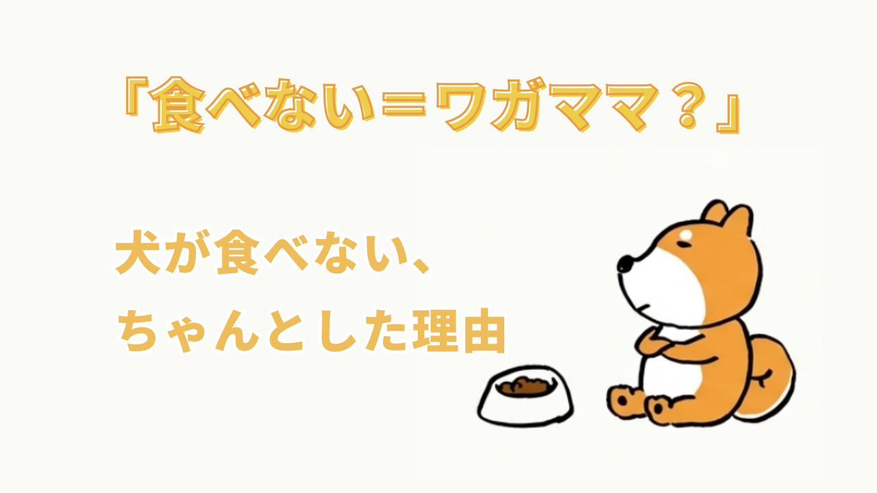 「食べない＝ワガママ？」 ― 犬が食べない、ちゃんとした理由 ―