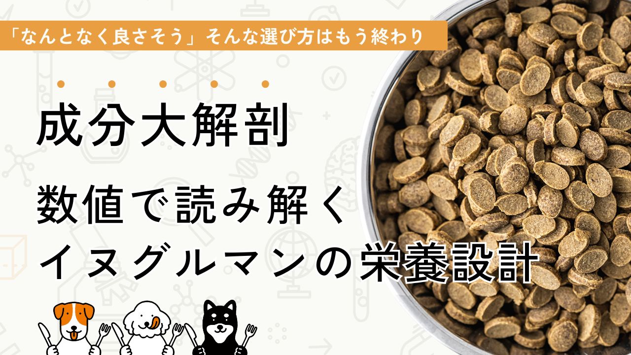 成分大解剖 数値で読み解く イヌグルマンの栄養設計