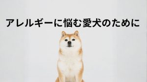 アレルギーに悩む愛犬のために