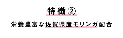 特徴2 栄養豊富な佐賀県産モリンガ配合