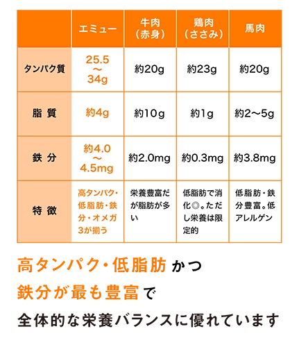 表画像